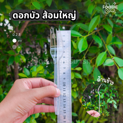 ดอกบัว ส้อม ใส 100 ชิ้น