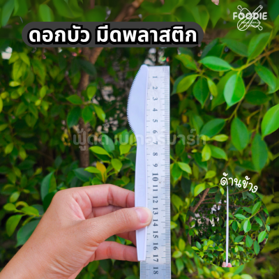 ดอกบัว มีดสเต็ก ขาว 100ชิ้น