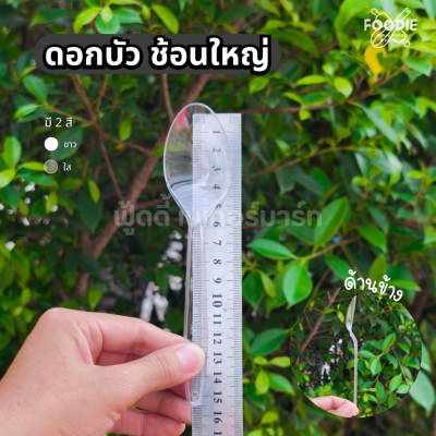 ดอกบัว ช้อน ใส 100ชิ้น