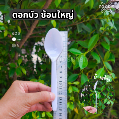 ดอกบัว ช้อนขาว 100ชิ้น