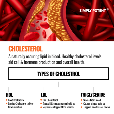 Cholesterol Support