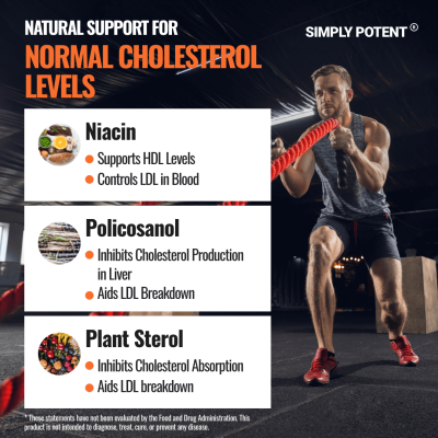 Cholesterol Support