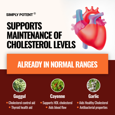 Cholesterol Support