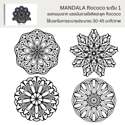 Combo C : ชุดสุดคุ้ม พร้อมสี