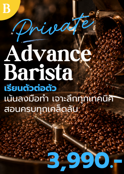 คอร์ส B : Private Advance Barista