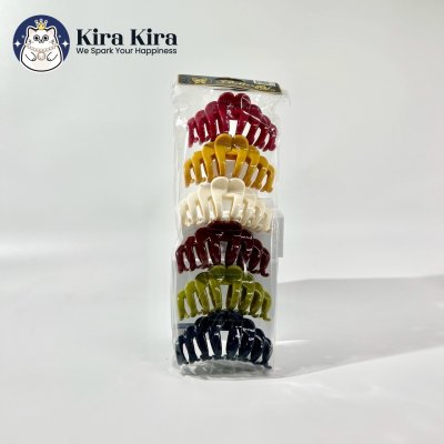 ตัวหนีบผม ลอนโค้ง สีคลาสสสิค (6 ชิ้น)