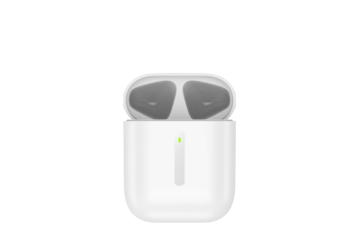 หูฟัง WISE EARBUDS HS-310