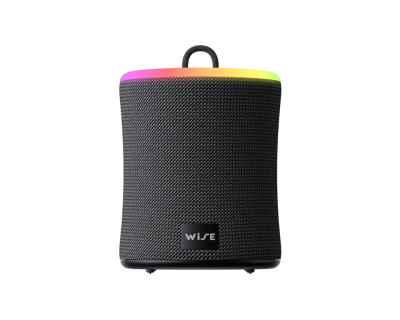ลำโพง WISE Alto 360 Speaker