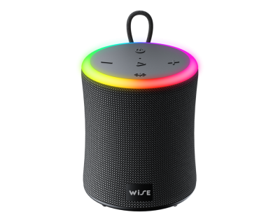 ลำโพง WISE Alto 360 Speaker