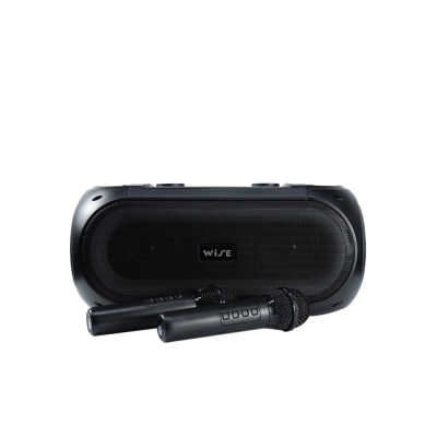 ลำโพง WISE Danz mini Speaker II