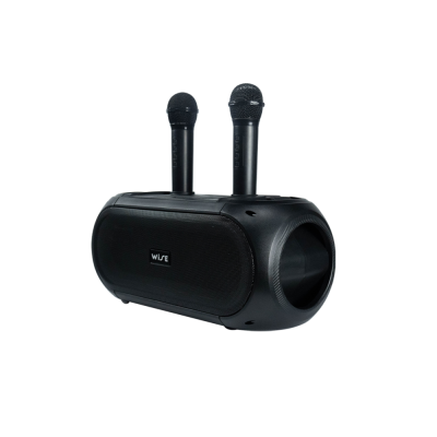 ลำโพง WISE Danz mini Speaker II