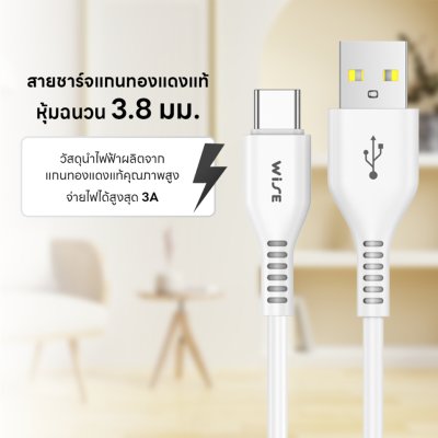 สายชาร์จ WISE 