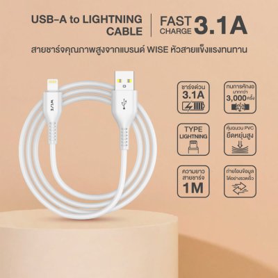 WISE สายชาร์จ 