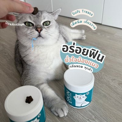 ขนมแมว สูตรบำรุงผิวหนังและขน