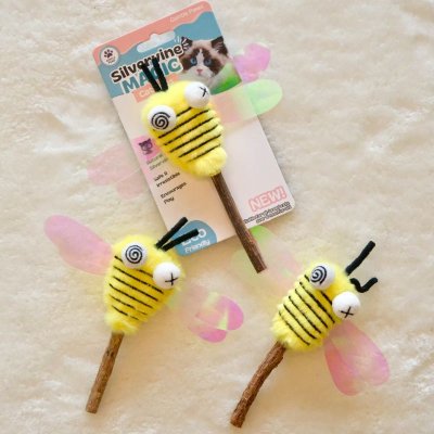 ไม้มอมแมว