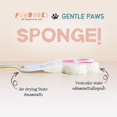 ฟองน้ำล้างจาน เยื่อไม้ธรรมชาติ