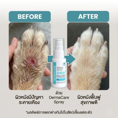 สเปรย์ดูแลแผลและผิวหนังสัตว์เลี้ยง