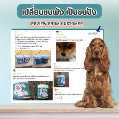 ขนมสุนัข สูตรบำรุงผิวหนังและขน