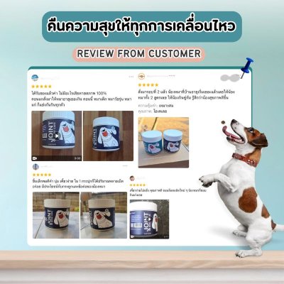 ขนมสุนัข สูตรบำรุงกระดูกและข้อต่อ