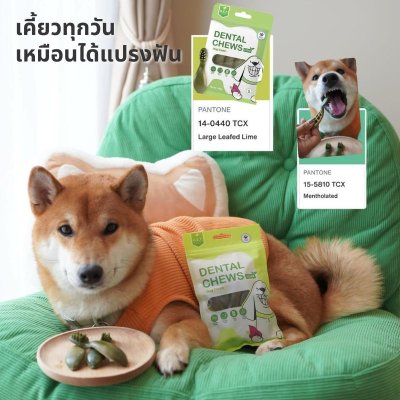 ขนมขัดฟันสำหรับสุนัข สูตรผักล้วน (Vegan)