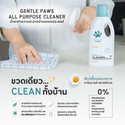 All-Purpose Cleaner