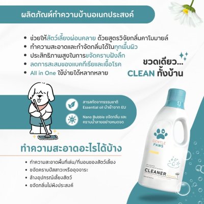 All-Purpose Cleaner