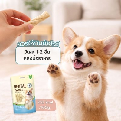 ขนมขัดฟันสุนัขชนิดนิ่ม รสมะพร้าว