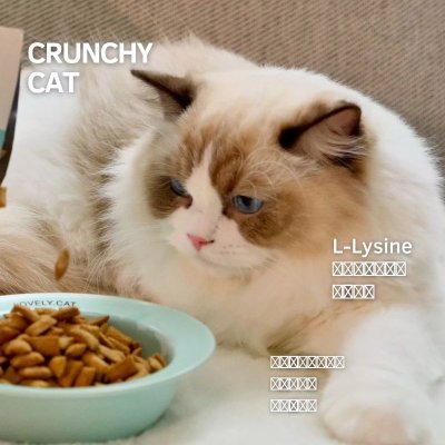 Crunchy cat Immune+ L-Lysine