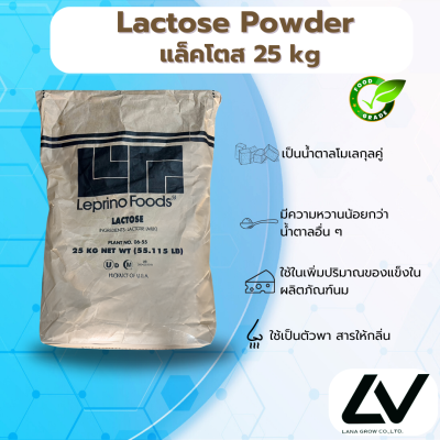 Lactose Powder แลคโตสผง