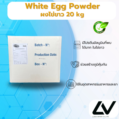 White Egg Powder  ไข่ขาวผง