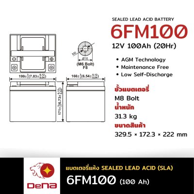DeNA 6FM100