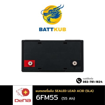 DeNA 6FM55