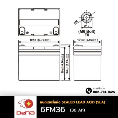 DeNA 6FM36