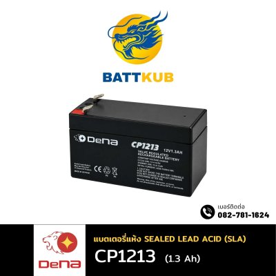 DeNA CP1213