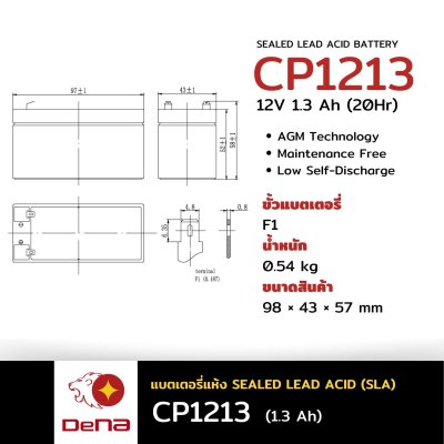 DeNA CP1213