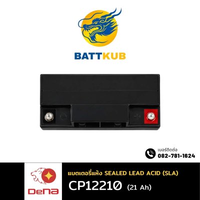 DeNA CP12210