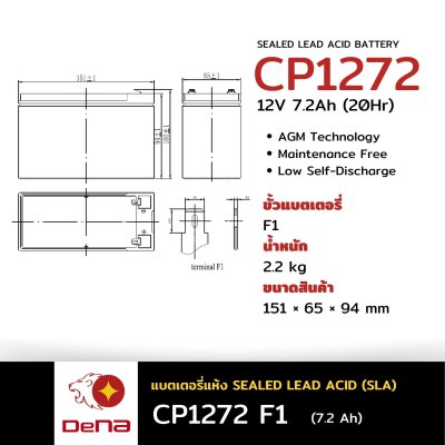 DeNA CP1272 F1