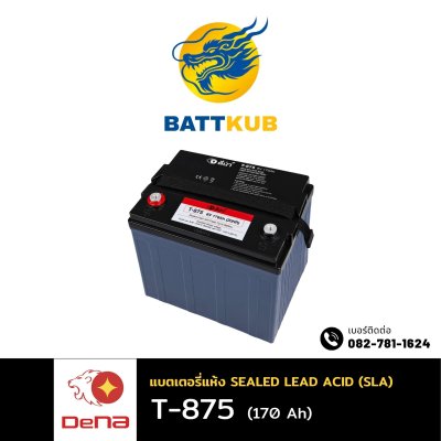 DeNA T-875