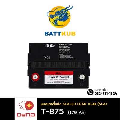DeNA T-875