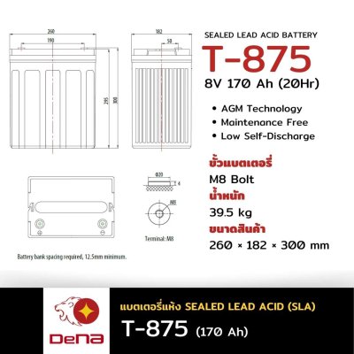 DeNA T-875