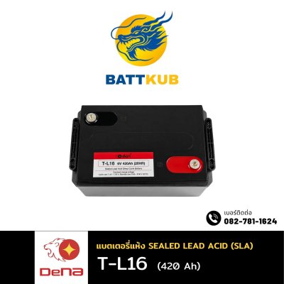 DeNA T-L16