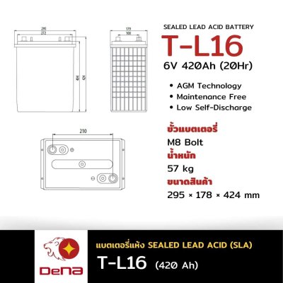 DeNA T-L16