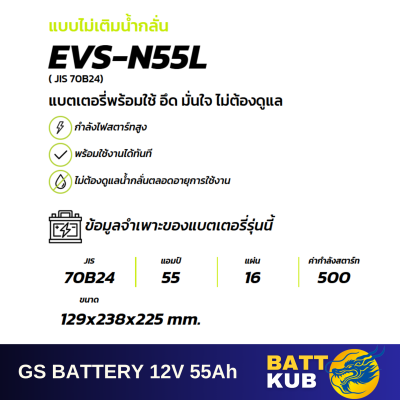 GS / EVS N-55 L