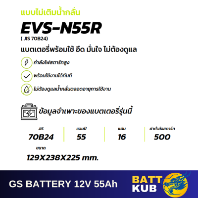 GS / EVS N-55 R