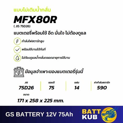 GS / MFX-80 R