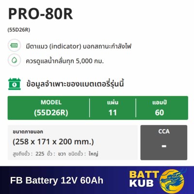FB / HYBRID PRO-80 R