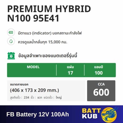 FB / HYBRID N100