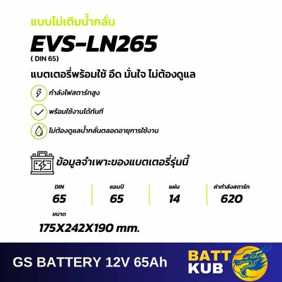 GS / EVS-LN265 L
