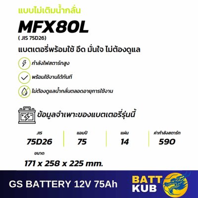 GS / MFX-80 L