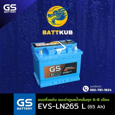 GS / EVS-LN265 L